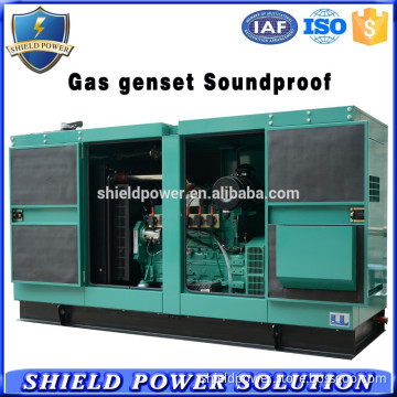10KVA-400KVA Natural Gas CNG Generator Set For Sale Gas Fuel Generators